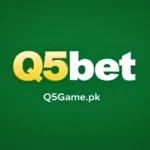 q5bet game